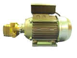 ITE Elektro Motor LP-4 für Flüssigkeitspumpe MF4/V2 Kältemittel inklusive R410A 3-4L/min 230V 5x3/8" NPT