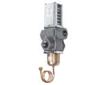 Penn Kühlwasserregler druckgesteuert V48AD-9510 3-Wege Rp 1" DIN EN 10226-1