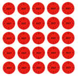 BIV Prüfetiketten für das Jahr 2027 (1 Bogen hat 25 Stück)